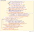 Thumbnail for version as of 13:25, 15 July 2026