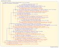 Thumbnail for version as of 10:45, 16 March 2026