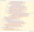 Thumbnail for version as of 08:15, 16 July 2026