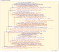 Thumbnail for version as of 12:09, 12 July 2026