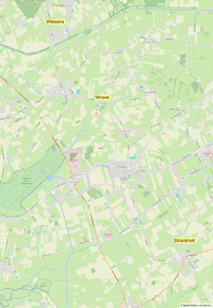 Strackholt-Wiesens-Wrisse.webp