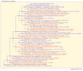 Thumbnail for version as of 13:35, 14 March 2026