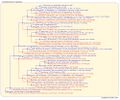 Thumbnail for version as of 18:35, 15 March 2026