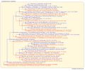Thumbnail for version as of 23:08, 13 March 2026
