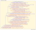 Thumbnail for version as of 19:40, 14 March 2026