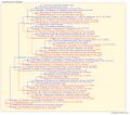Thumbnail for version as of 12:28, 12 July 2026