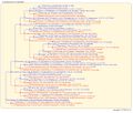 Thumbnail for version as of 21:49, 11 July 2026