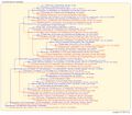 Thumbnail for version as of 18:17, 11 July 2026