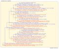 Thumbnail for version as of 17:15, 12 March 2026