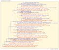 Thumbnail for version as of 13:44, 14 March 2026