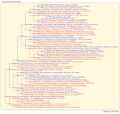 Thumbnail for version as of 23:09, 15 July 2026