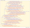 Thumbnail for version as of 17:35, 15 July 2026