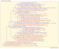 Thumbnail for version as of 09:34, 14 March 2026