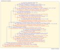 Thumbnail for version as of 09:10, 14 March 2026
