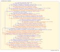 Thumbnail for version as of 17:46, 11 July 2026