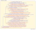 Thumbnail for version as of 14:02, 11 March 2026