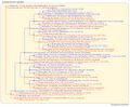 Thumbnail for version as of 10:50, 16 March 2026