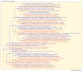 Thumbnail for version as of 09:32, 16 July 2026