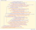 Thumbnail for version as of 10:57, 14 March 2026