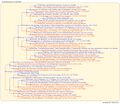 Thumbnail for version as of 09:16, 16 July 2026