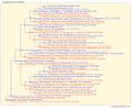 Thumbnail for version as of 23:21, 13 March 2026