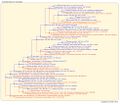 Thumbnail for version as of 17:53, 21 July 2026