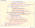 Thumbnail for version as of 13:08, 14 March 2026
