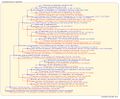 Thumbnail for version as of 23:01, 13 March 2026