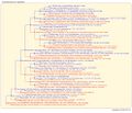Thumbnail for version as of 11:29, 14 March 2026