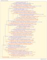 Thumbnail for version as of 18:46, 21 March 2026