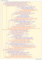 Thumbnail for version as of 08:09, 25 July 2026