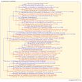 Thumbnail for version as of 12:40, 5 March 2026