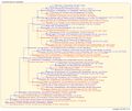 Thumbnail for version as of 12:43, 14 March 2026