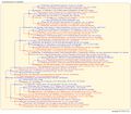 Thumbnail for version as of 23:15, 23 March 2026