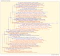 Thumbnail for version as of 23:04, 23 March 2026