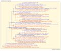 Thumbnail for version as of 09:07, 14 March 2026