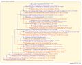 Thumbnail for version as of 12:55, 14 March 2026