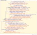 Thumbnail for version as of 08:37, 16 July 2026