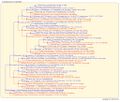 Thumbnail for version as of 19:05, 11 July 2026